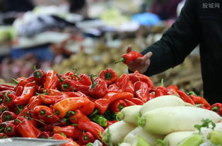 農(nóng)業(yè)農(nóng)村部辦公廳 確保貧困地區(qū)農(nóng)產(chǎn)品運輸暢通