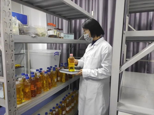 菜籃子 安全有保障 今年河源處理不合格食用農產品超1800公斤