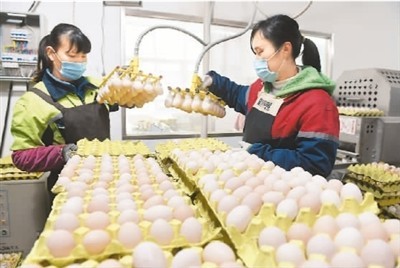 多部門聯(lián)手保供穩(wěn)價