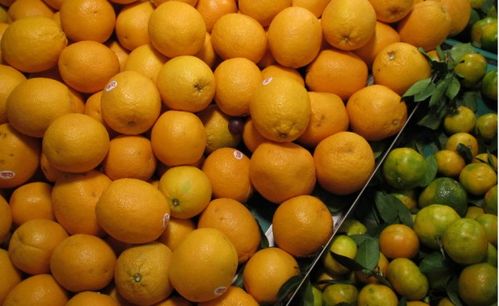 初級農(nóng)產(chǎn)品是不是也可以是預(yù)包裝食品