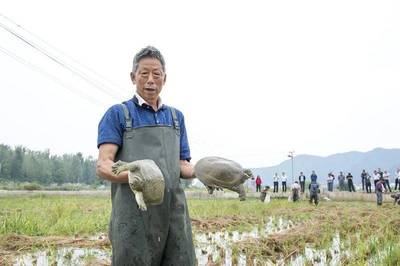 產(chǎn)業(yè)紀實 | 發(fā)展產(chǎn)業(yè)拔窮根 脫貧致富奔小康--我市開展產(chǎn)業(yè)扶貧推進精準脫貧紀事