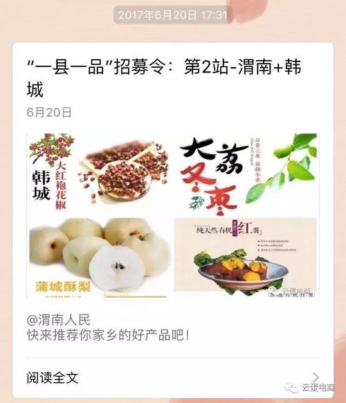 西北六省農產品上行中心 揭牌, 一縣一品 項目持續推進