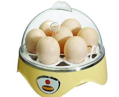 蒸蛋器使用與保養指南 實現高效便捷的廚房體驗